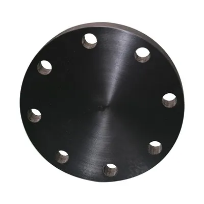HDPE 블라인드 플랜지